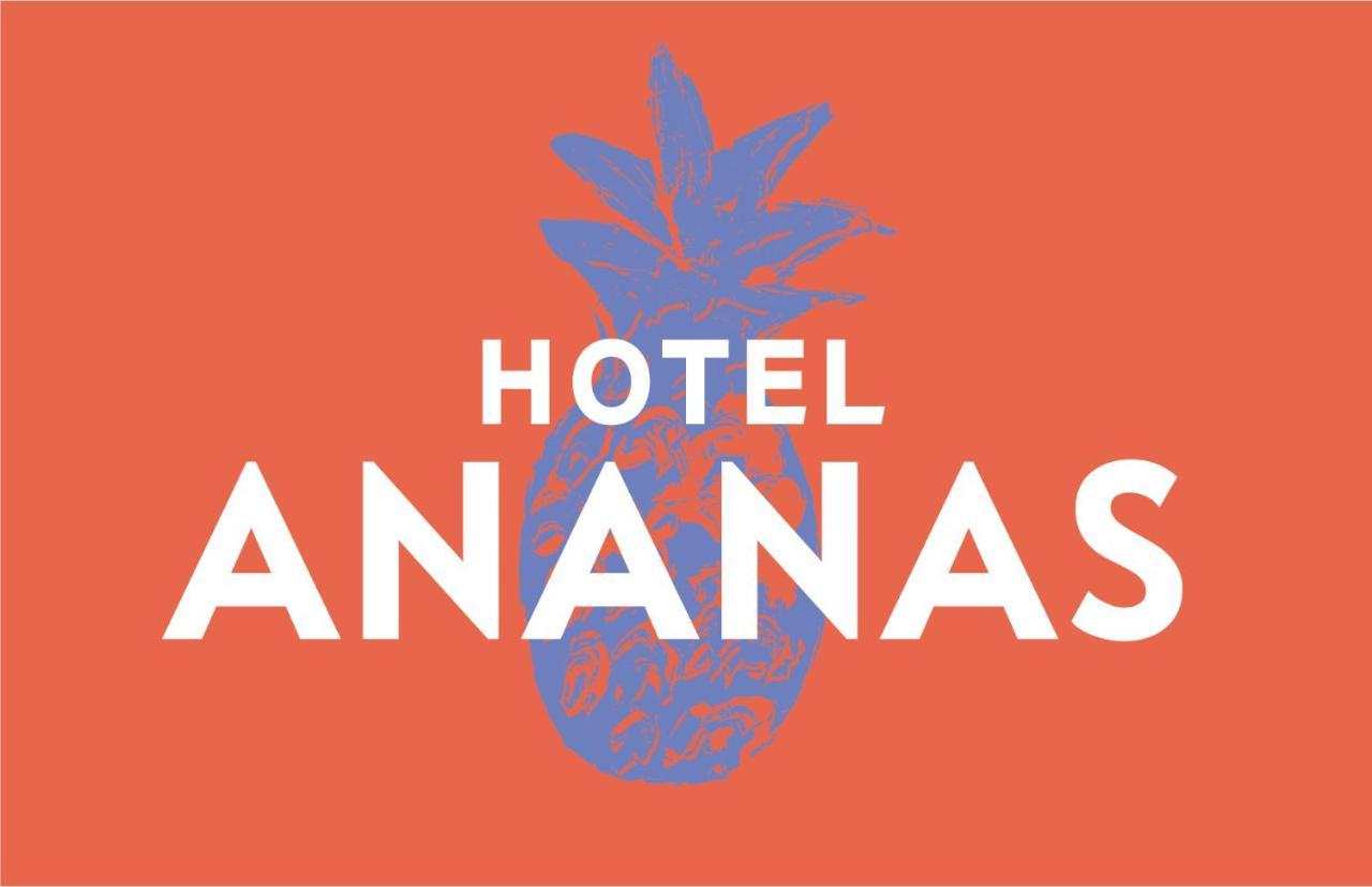 Hotel Boutique Ananas Cambaquara Extérieur photo